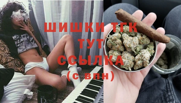 гидра Кукмор