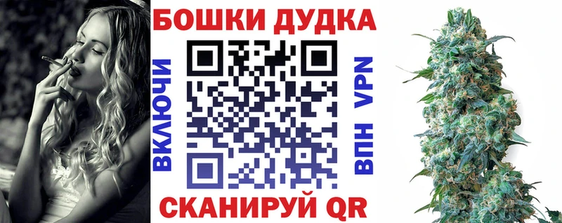 Конопля сатива  Купить закладки  Протвино 